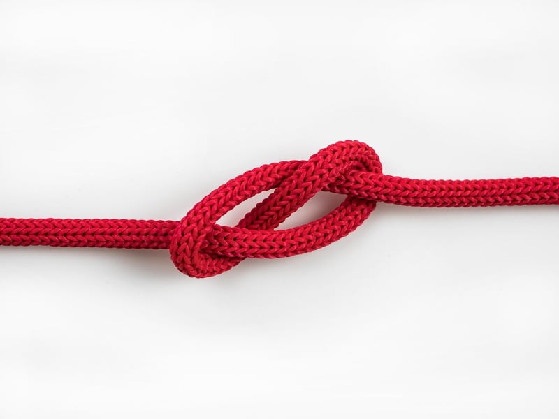 Causal Loop Avoidance